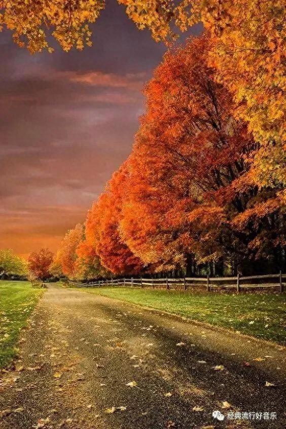 人间最美送别诗，句句断肠，句句锥心(图9)