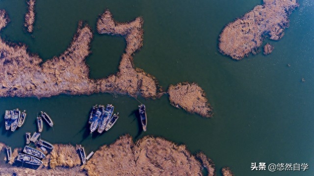 【50条描写惆怅的句子】夜色下，思念沉淀成海，淹没了整个世界(图4)