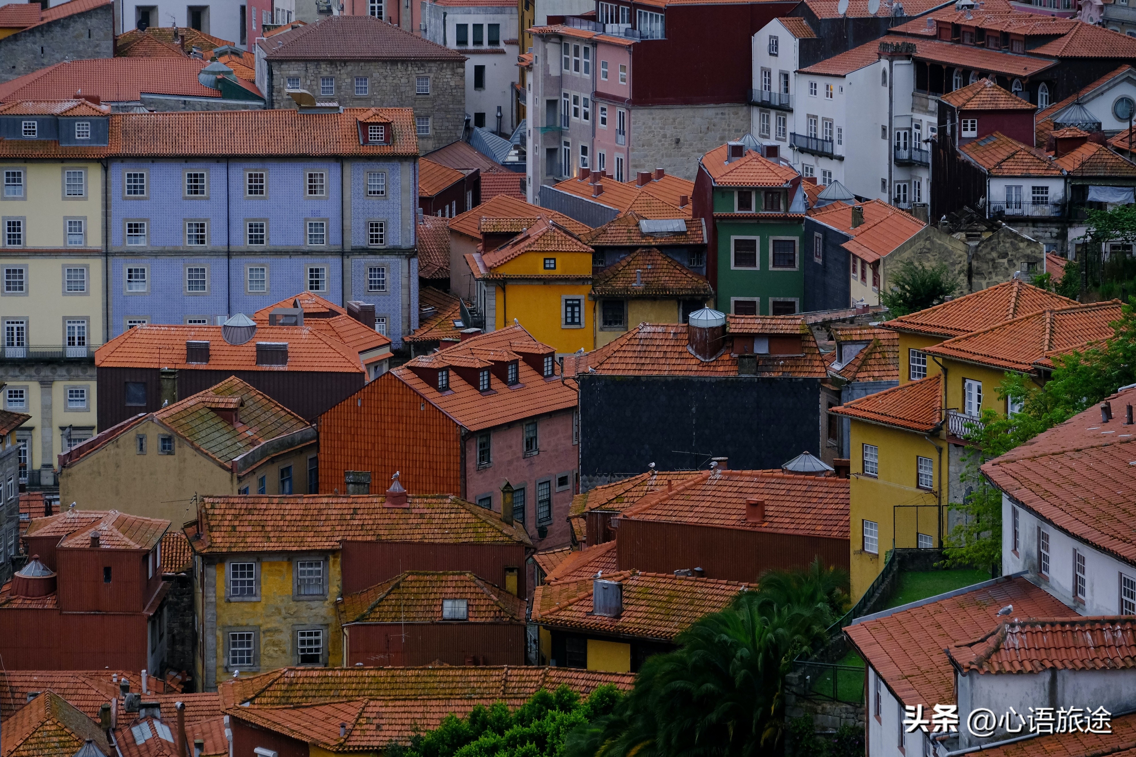 缘分注定,运气自有:面对人生无常,保持内心平静(图1)