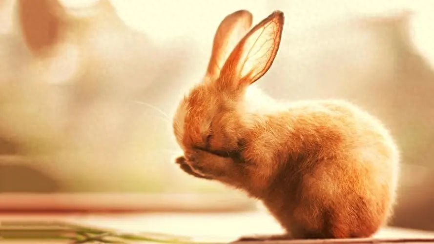 20句引爆热门的减肥文案，助你拥有完美身材！(图1)