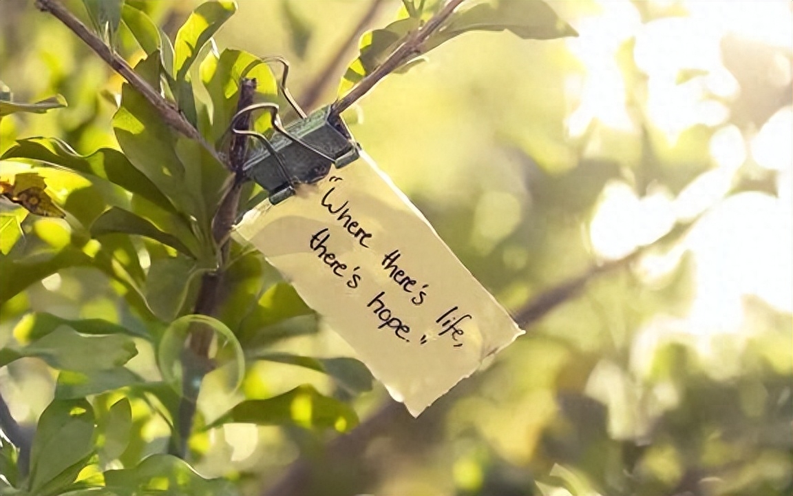 20句引爆热门的减肥文案，助你拥有完美身材！(图5)