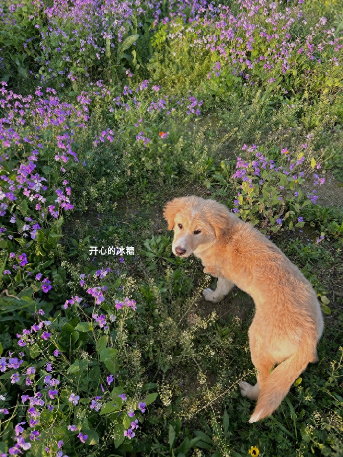 〖一发就爆火的口播文案〗(图3)