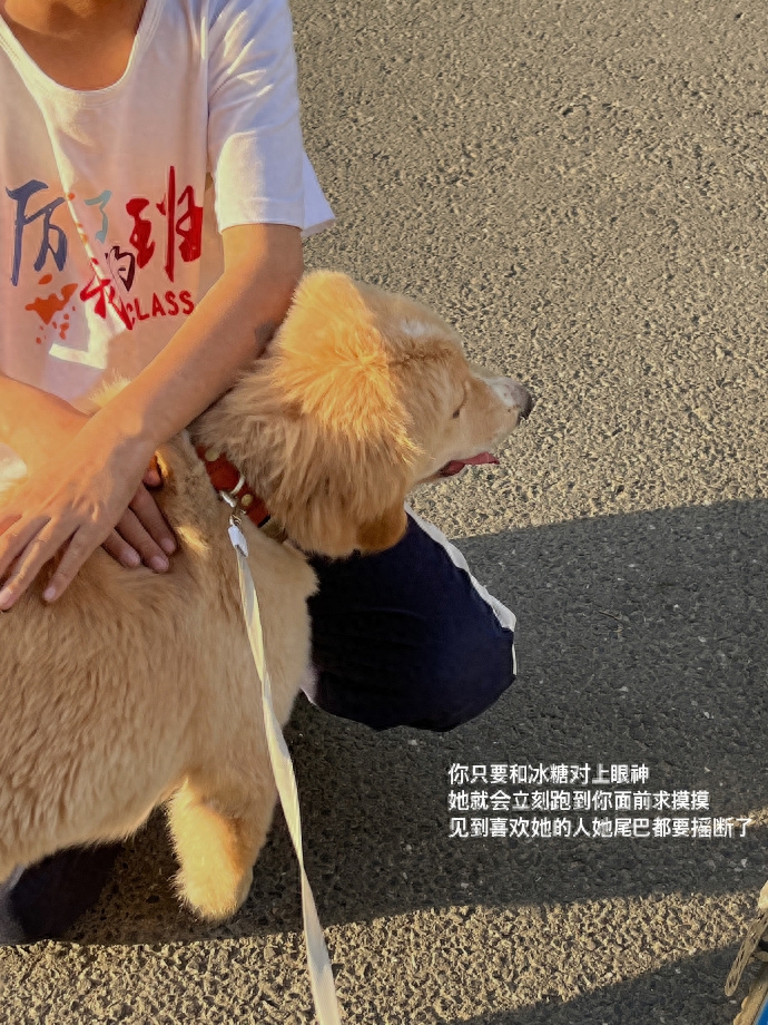 〖一发就爆火的口播文案〗(图5)