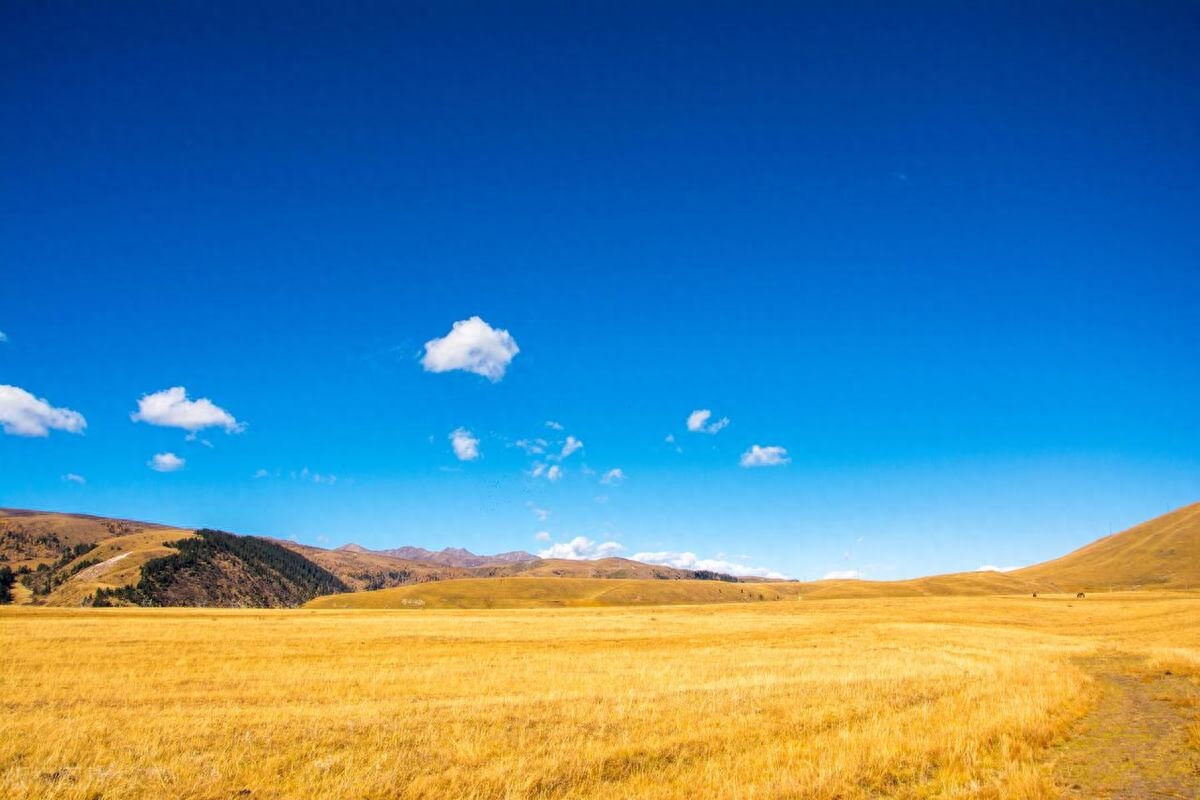 人生如逆旅，我亦是行人——探析苏轼名言的深意(图1)