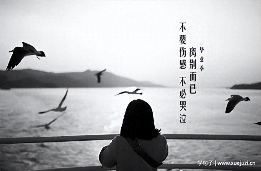 相遇又离别伤感的句子相遇是缘分，分开也是珍惜当下惜缘但不攀缘(图3)