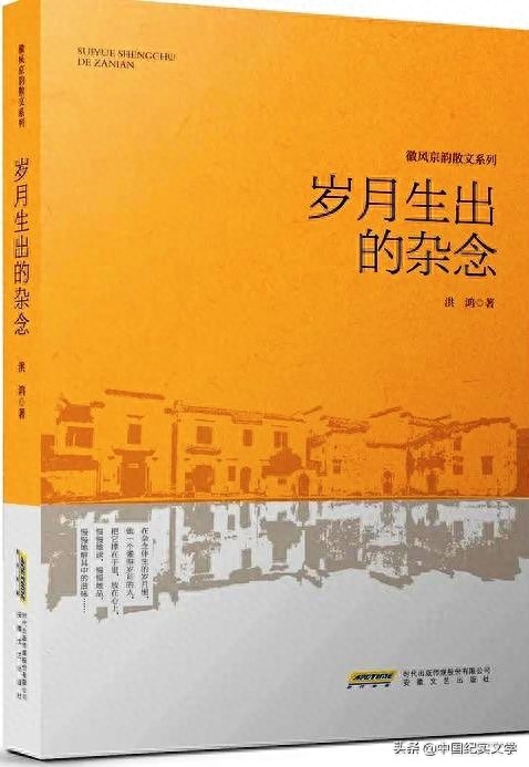 洪鴻散文集《歲月生出的雜念》：一部漂泊者的心靈史(图1)
