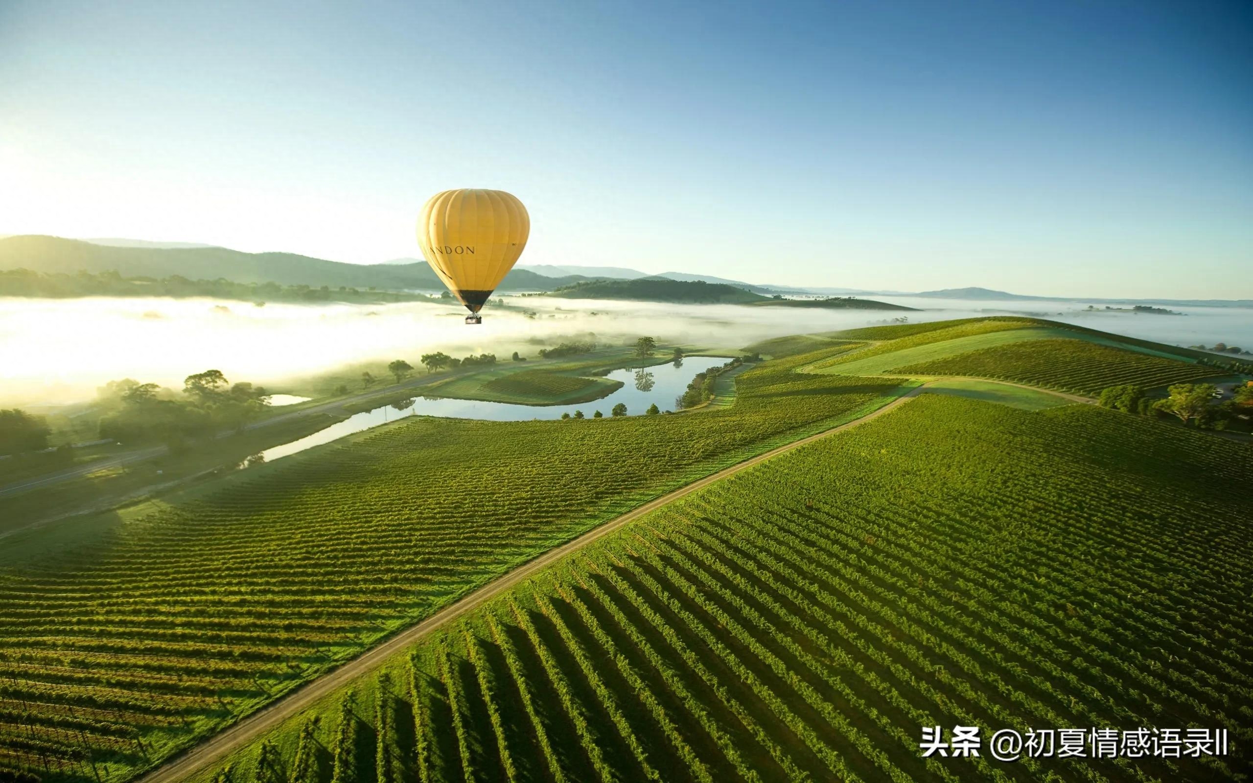 20条努力奋斗的励志句子，句句经典(图4)