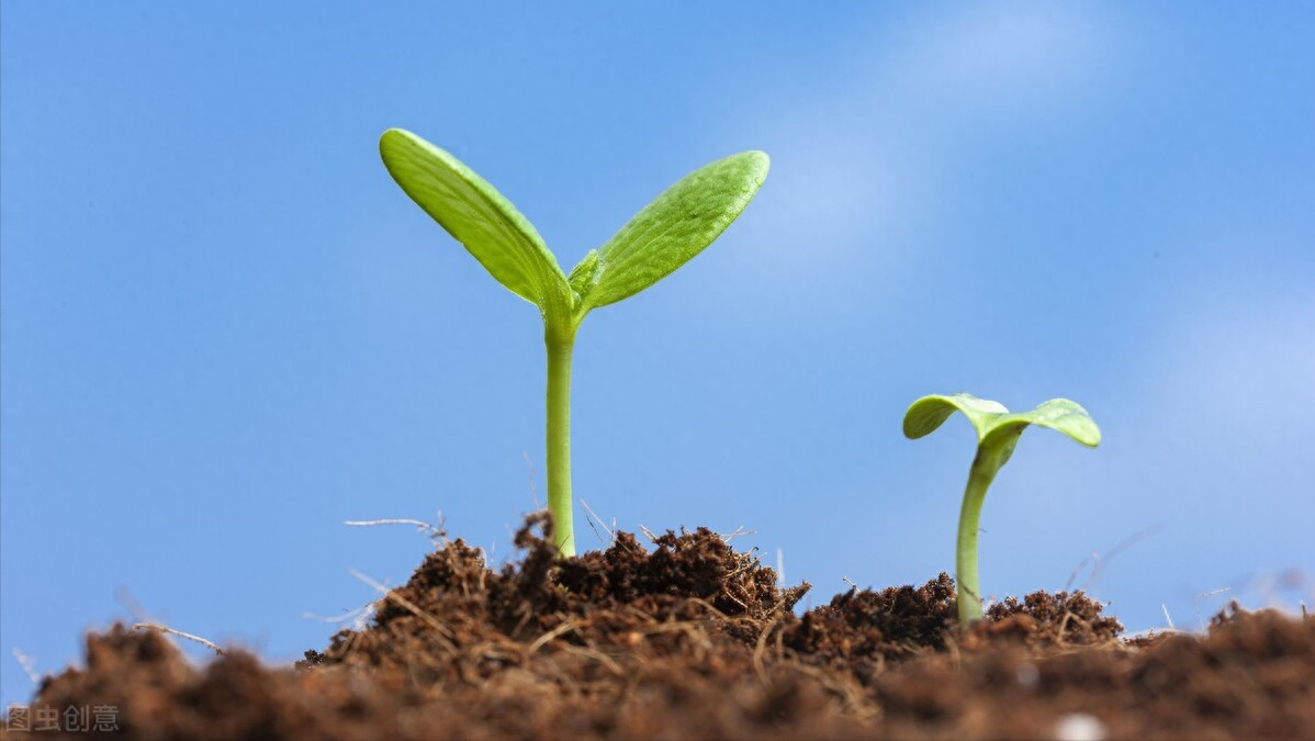 名言金句｜民生在勤，勤则不匮(图3)