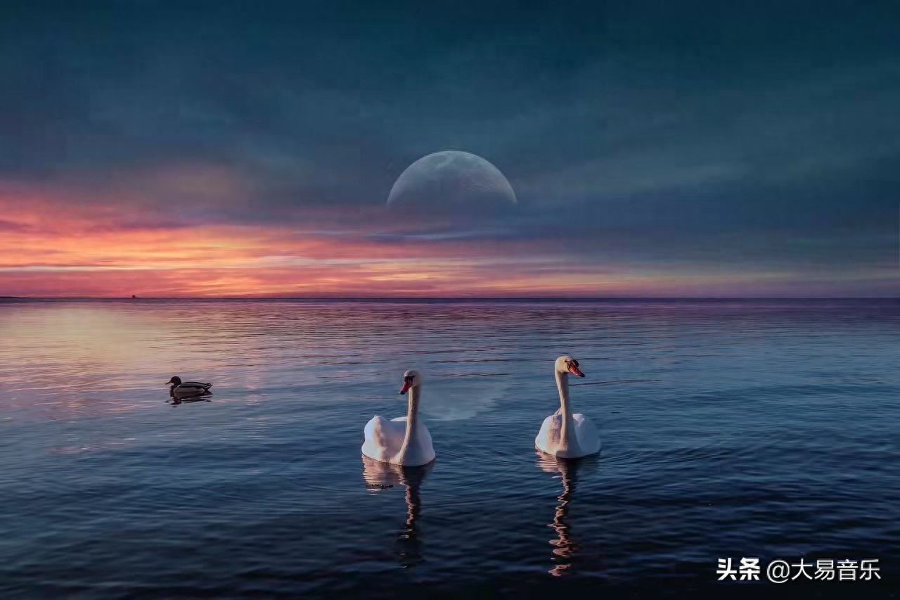 20句鸡汤励志句子，生命因奋斗而精彩，人生因拼搏而精彩(图1)