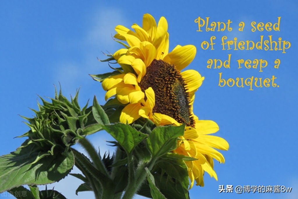 激励自己努力工作的名言(图4)