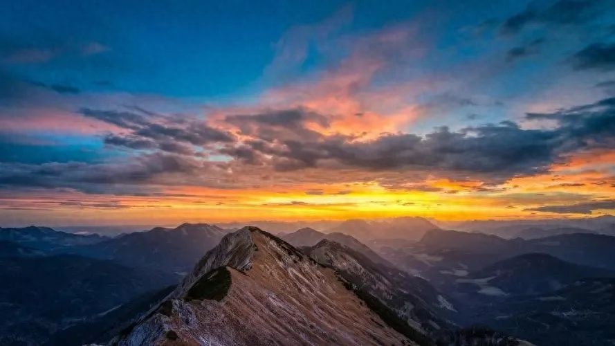 暗恋的句子60条经典语录大全(图1)