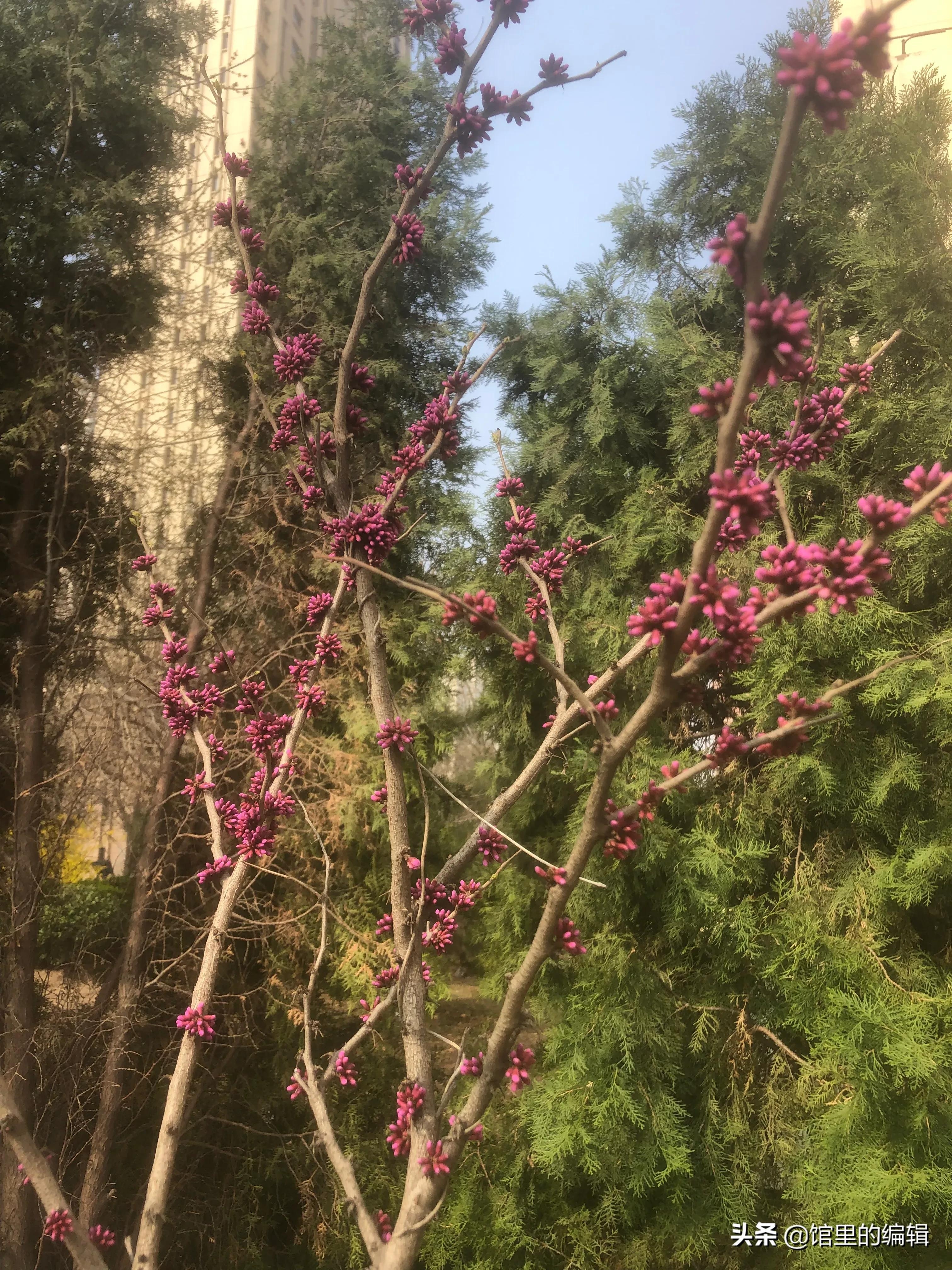 心情不好的时候，我想歌唱。心情不好的时候，我想赞美。感谢万物(图1)