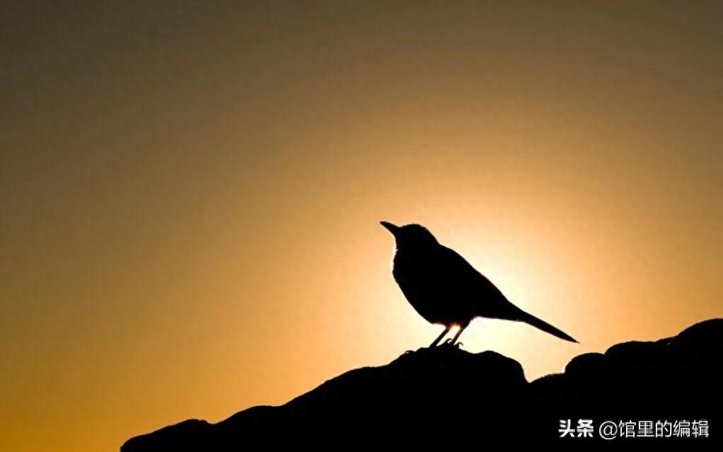 心情不好的时候，我想歌唱。心情不好的时候，我想赞美。感谢万物(图3)