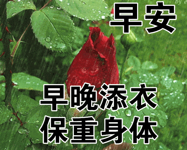 早安吉祥：人，从容，才能惬意地生活，才能获得快乐，早安！(图1)