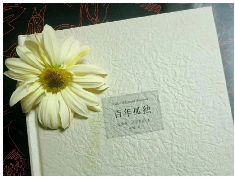 《百年孤独》：百年不过一瞬，孤独是人生常态(图2)