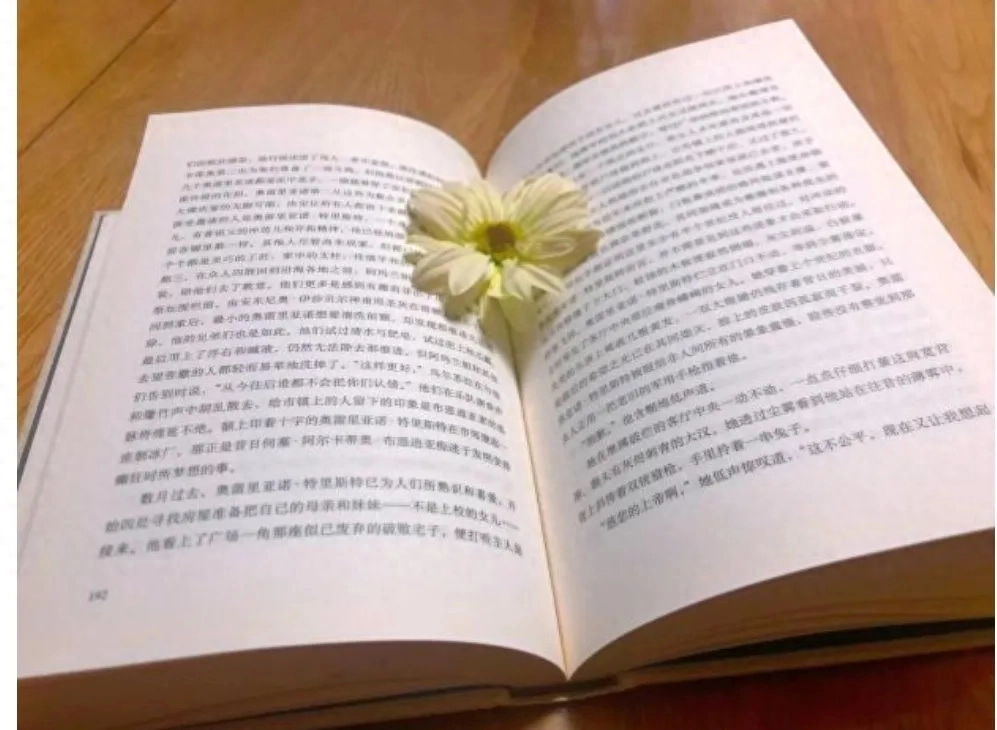 《百年孤独》：百年不过一瞬，孤独是人生常态(图4)