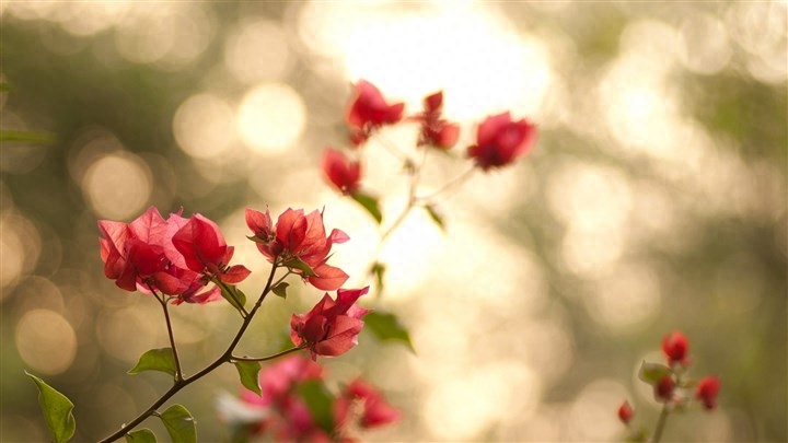 令人大彻大悟的短句，微笑的你，最美(图3)