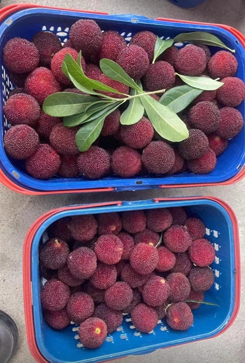 怀念的家乡味道(图1)