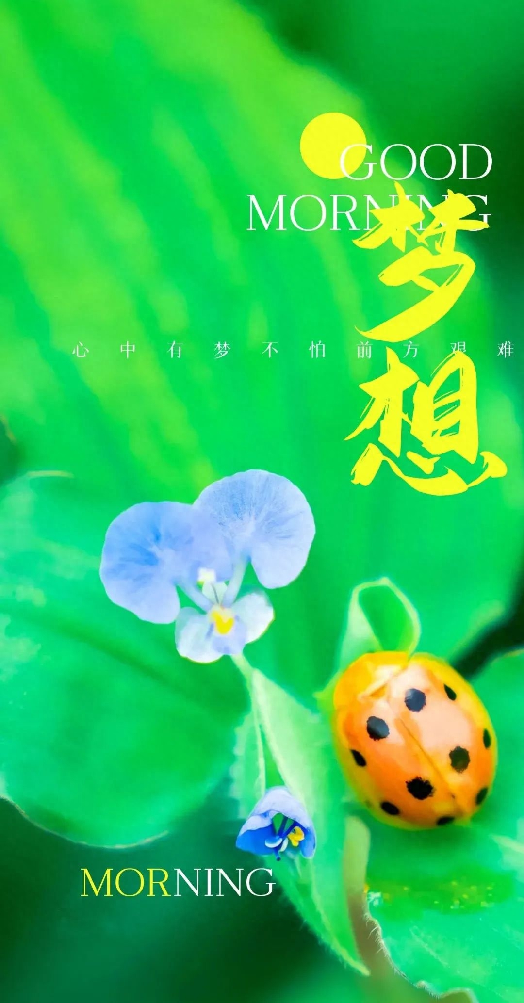 「2023.04.12」早安心语，正能量持之以恒的励志语句 最精美的图片(图6)