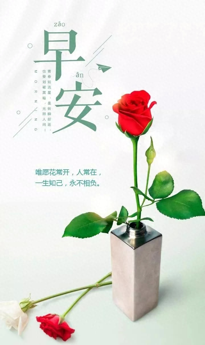 「2023.04.12」早安心语，正能量持之以恒的励志语句 最精美的图片(图9)