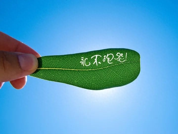 「2023.04.12」早安心语，正能量持之以恒的励志语句 最精美的图片(图26)