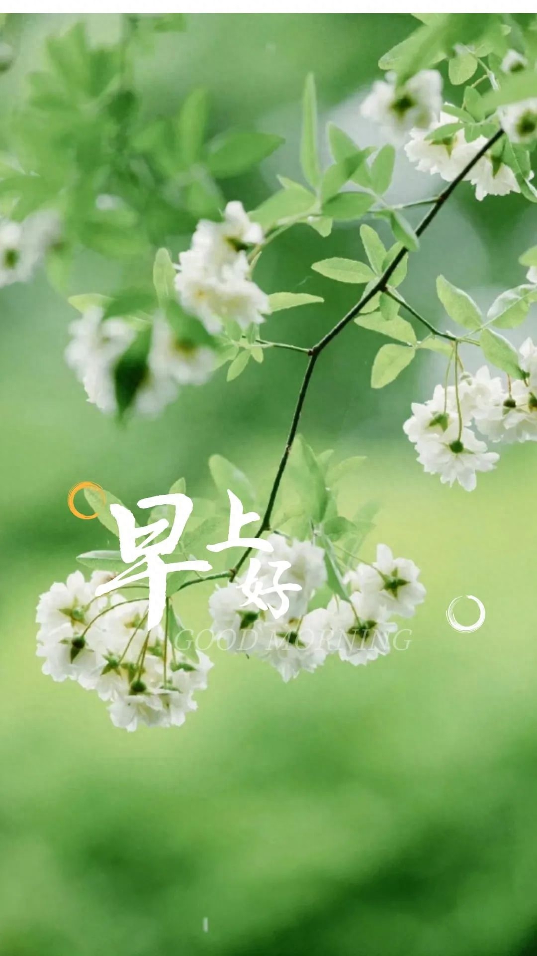 「2023.04.12」早安心语，正能量持之以恒的励志语句 最精美的图片(图31)