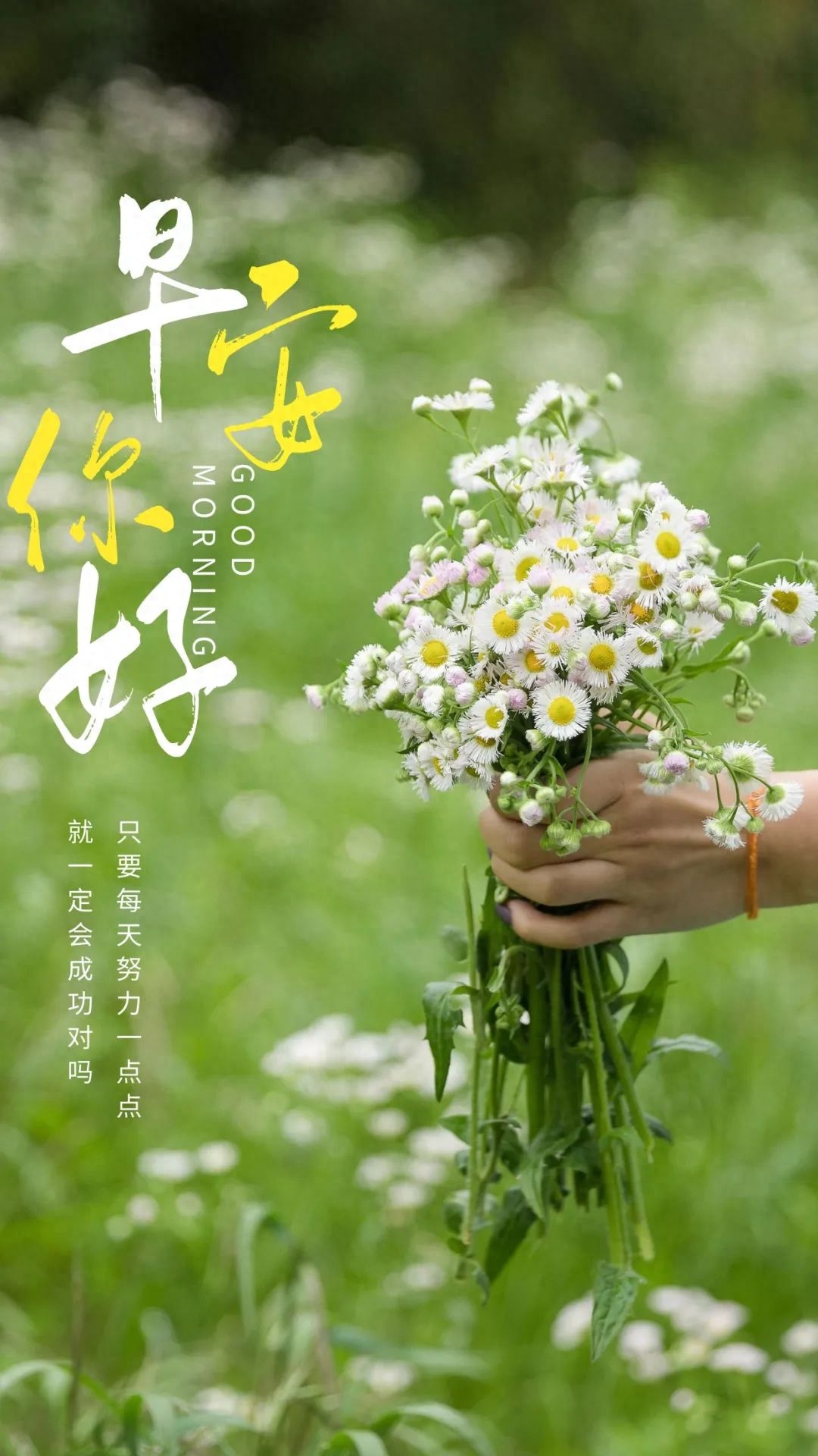 「2023.04.12」早安心语，正能量持之以恒的励志语句 最精美的图片(图38)