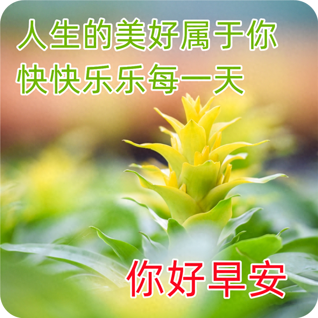 「2023.04.12」早安心语，正能量持之以恒的励志语句 最精美的图片(图57)