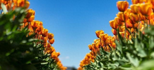 激励人学习的励志短语，每句话都各就各位，总有一句话让你警醒(图2)