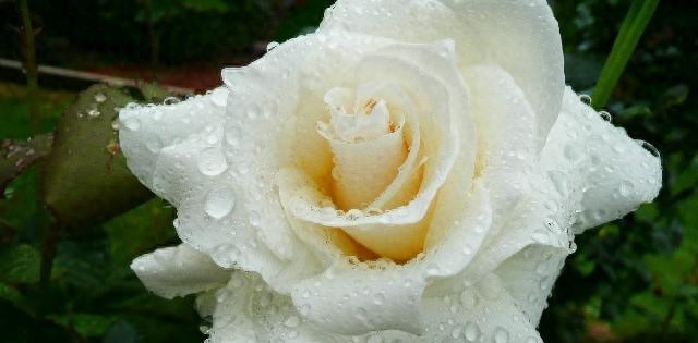 激励人学习的励志短语，每句话都各就各位，总有一句话让你警醒(图3)