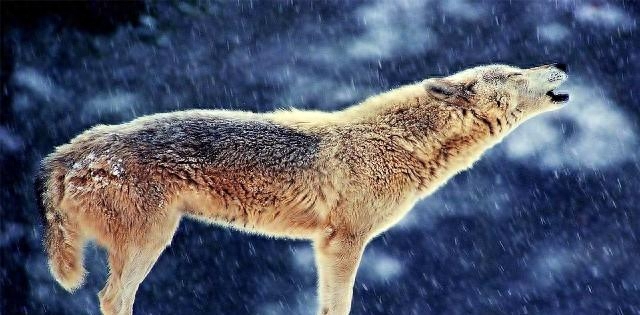 激励人学习的励志短语，每句话都各就各位，总有一句话让你警醒(图4)