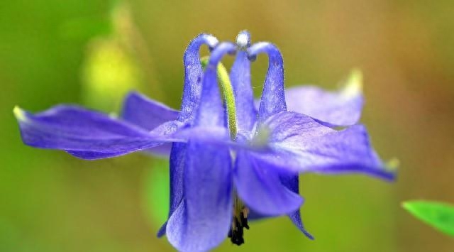 激励人学习的励志短语，每句话都各就各位，总有一句话让你警醒(图6)