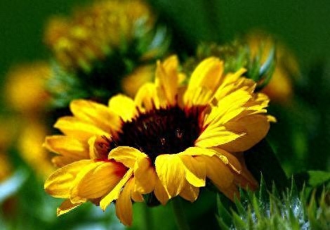 激励人学习的励志短语，每句话都各就各位，总有一句话让你警醒(图9)