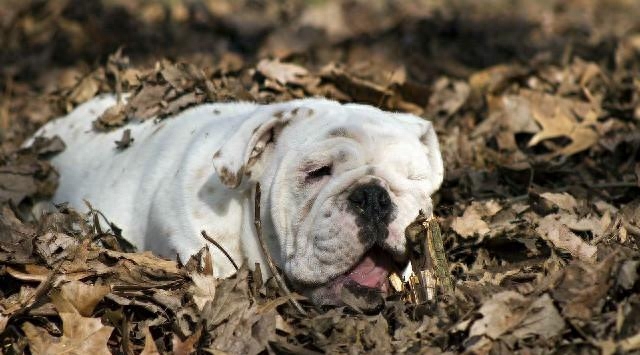 激励人学习的励志短语，每句话都各就各位，总有一句话让你警醒(图12)