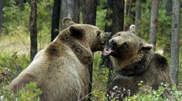 激励人学习的励志短语，每句话都各就各位，总有一句话让你警醒(图13)