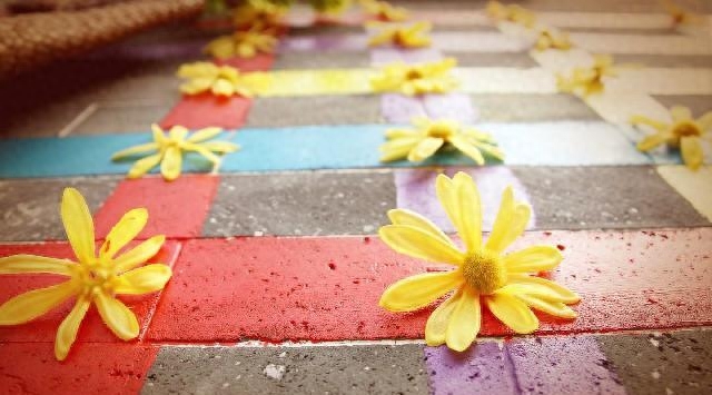 激励人学习的励志短语，每句话都各就各位，总有一句话让你警醒(图14)