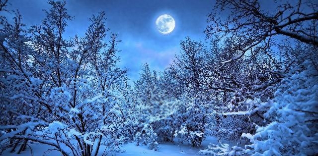 激励人学习的励志短语，每句话都各就各位，总有一句话让你警醒(图15)