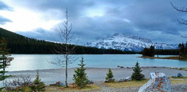 激励人学习的励志短语，每句话都各就各位，总有一句话让你警醒(图16)