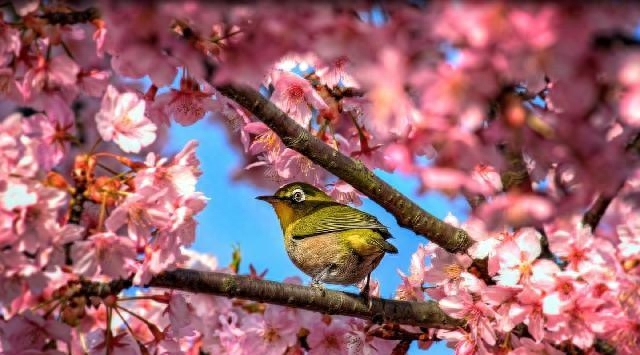 激励人学习的励志短语，每句话都各就各位，总有一句话让你警醒(图17)