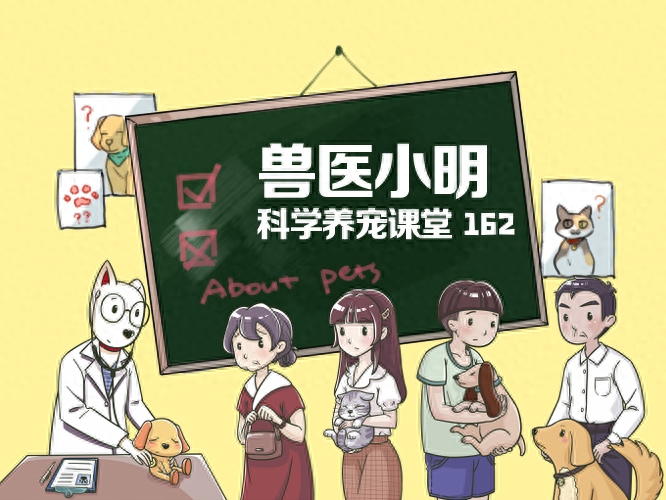 主子是否常常对着你叽叽歪歪的？不同品种的猫咪，语言天赋也不同(图1)