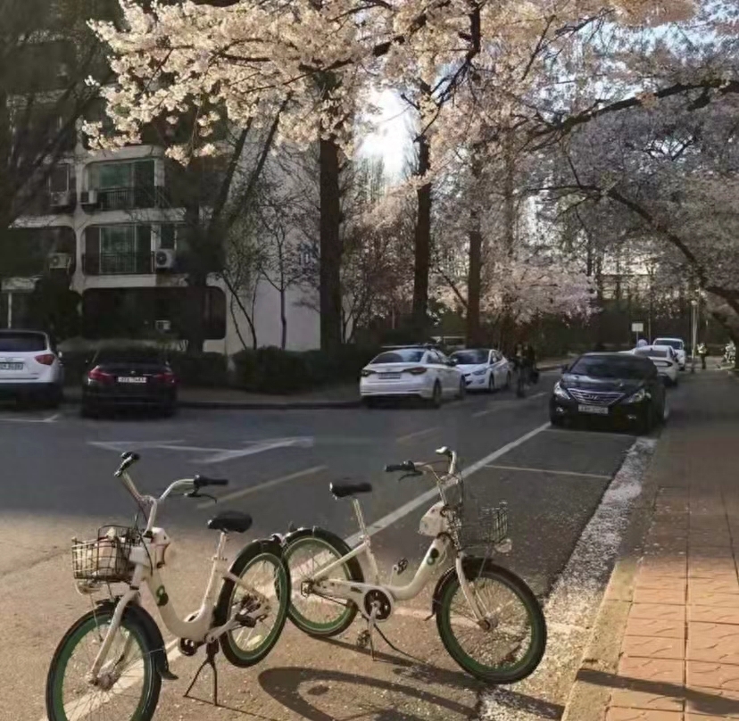 一些给喜欢的人的祝福文案(图4)