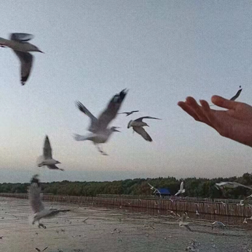 一些给喜欢的人的祝福文案(图8)