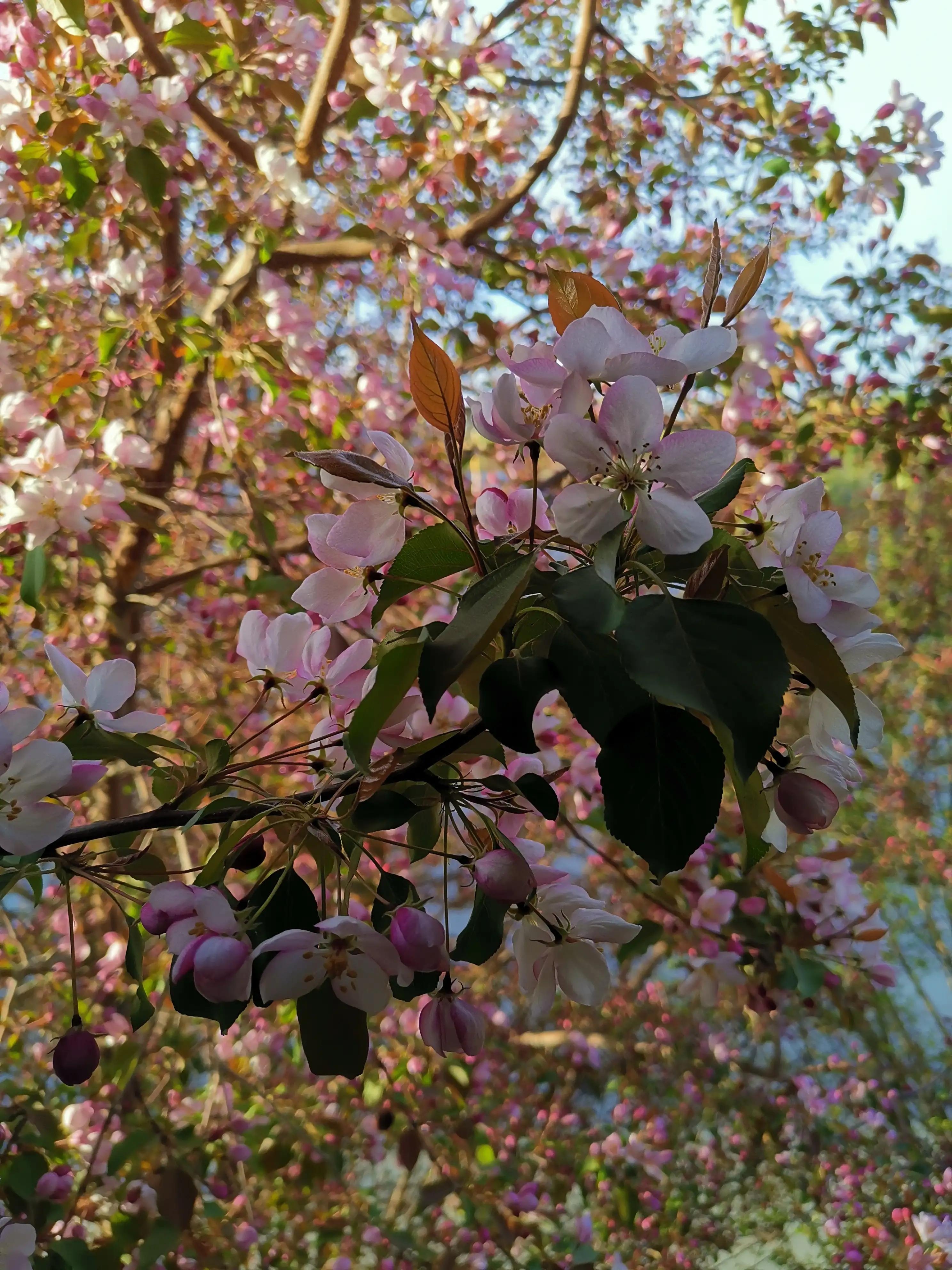 减法生活，轻松打包行李和搬家(图2)