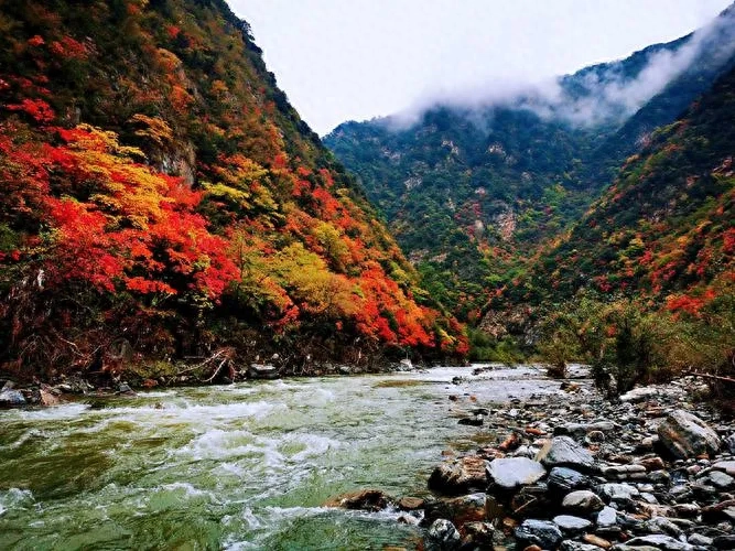 时光流转，念念不忘(图2)