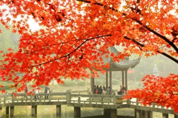 时光流转，念念不忘(图3)