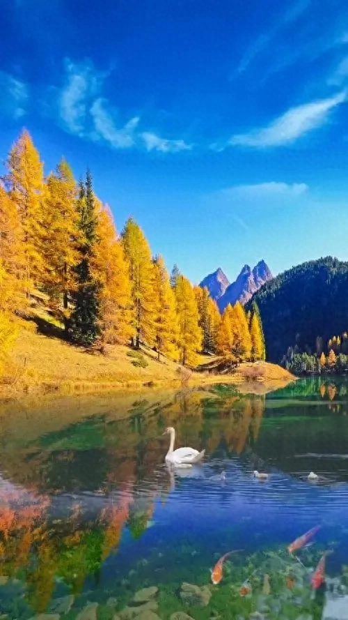 心之所向，便是阳光，无所畏惧，便是远方(图6)