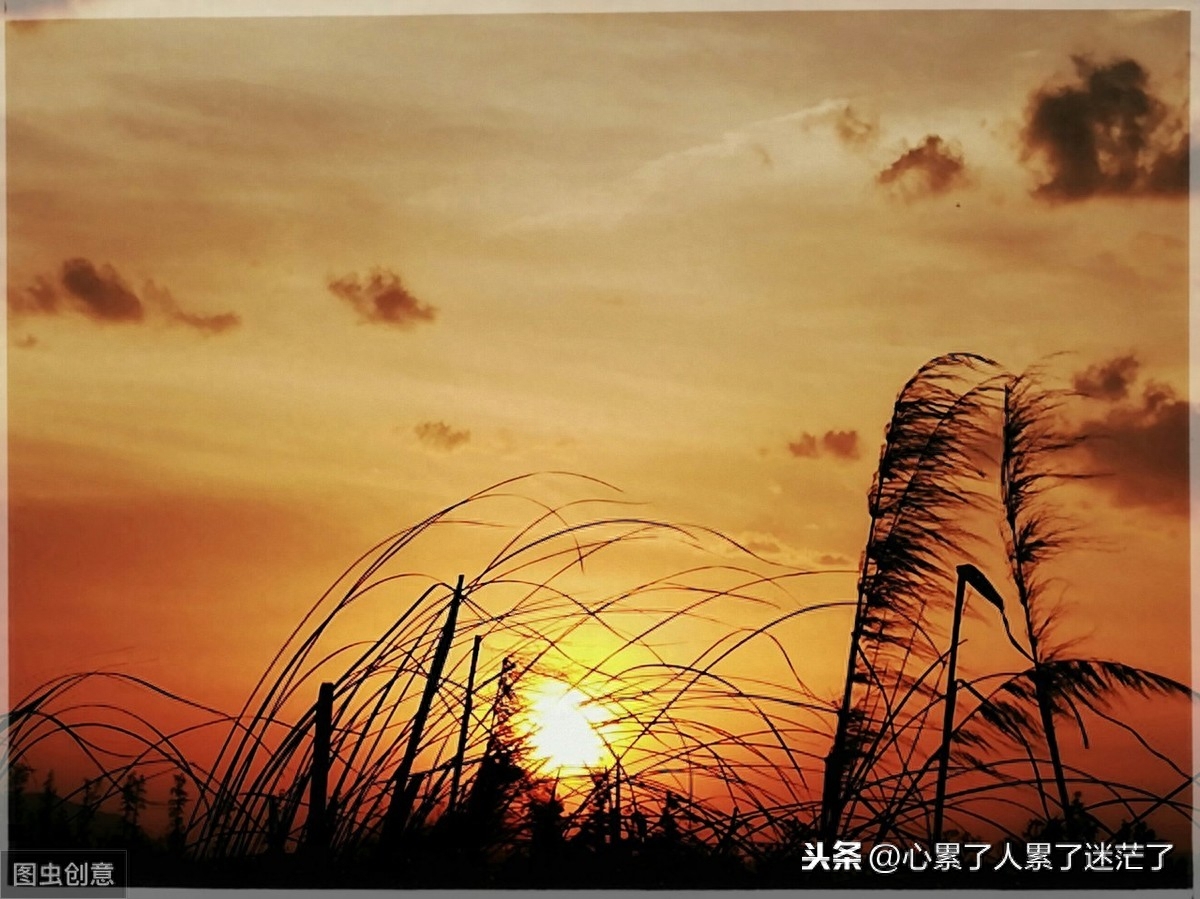 最新人生感悟的经典好句子，不和别人比较，不和自己计较(图3)