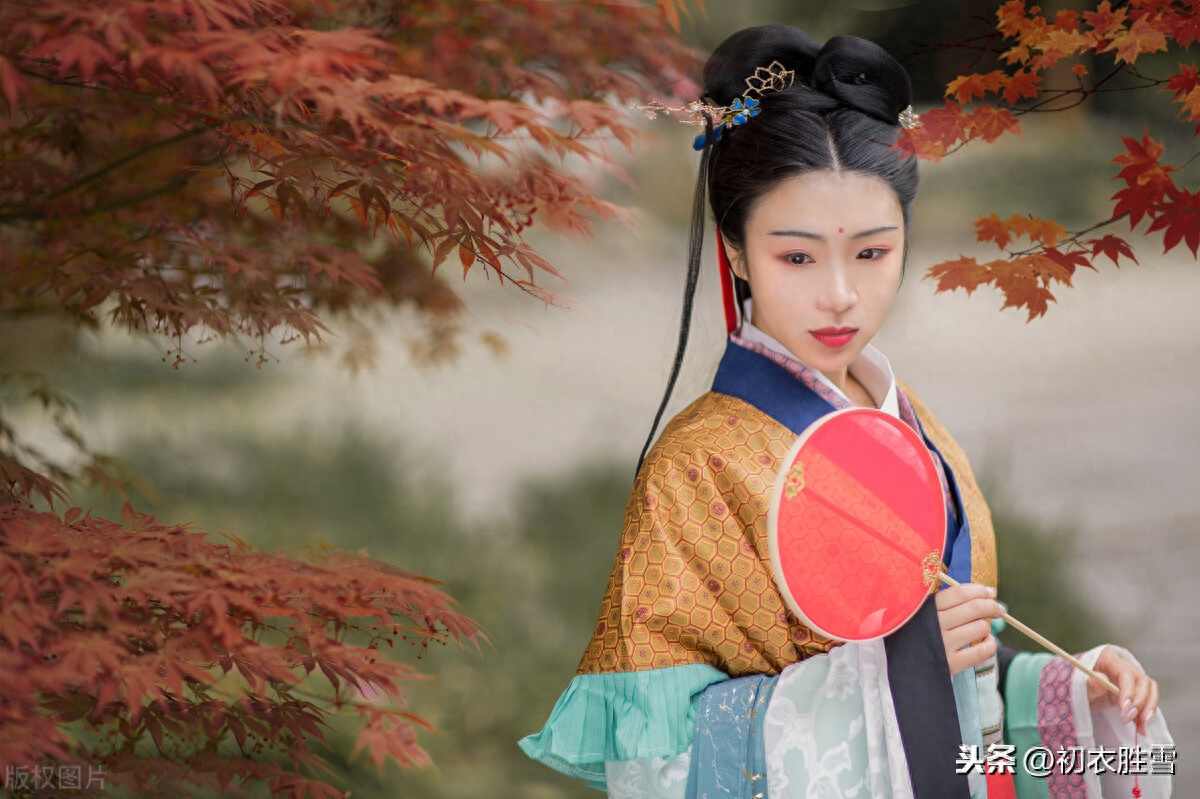 古诗中的枫树：相思枫叶丹，以水为纸，写就情书(图3)