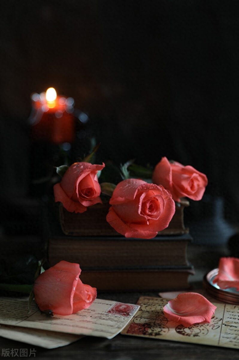 向阳而生，感恩遇见，让生活简单而美好，让生命快乐而安静(图3)