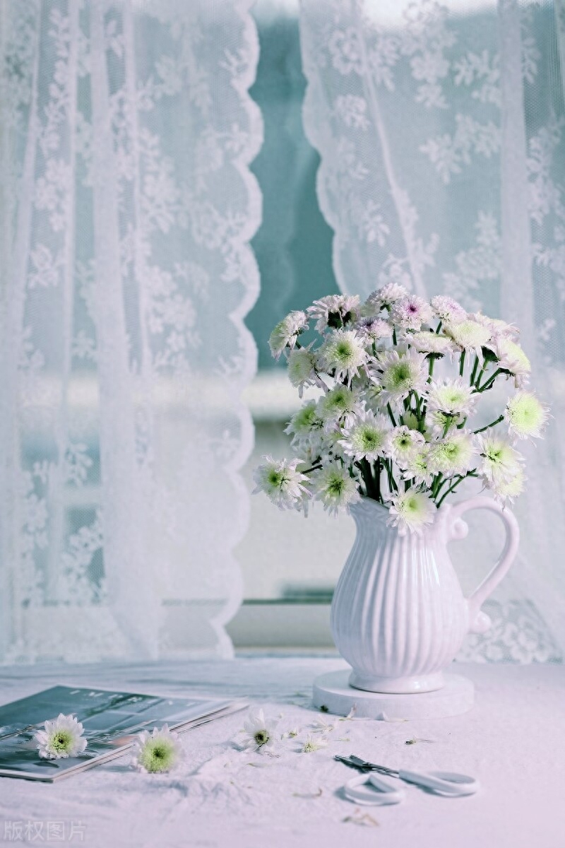 向阳而生，感恩遇见，让生活简单而美好，让生命快乐而安静(图5)